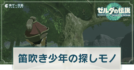 笛吹き少年の探しモノ