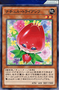 ナチュル・トライアンフ