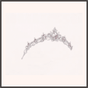 優美なティアラ