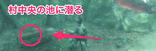 SEKIRO_数珠玉_葦名の底「水生村」