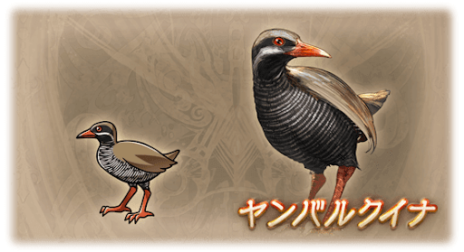 ヤンバルクイナ・ディアンサ