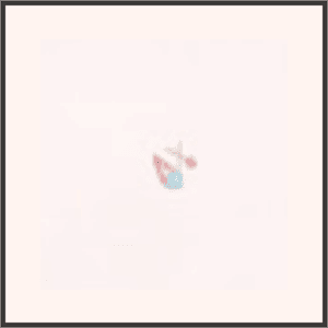 キャンディアイス