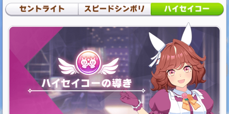 導きバナー_ハイセイコーの導き