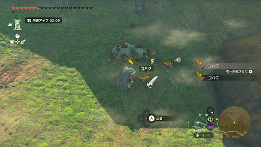 イワロックの心岩