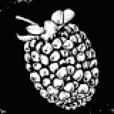 ブラックベリー