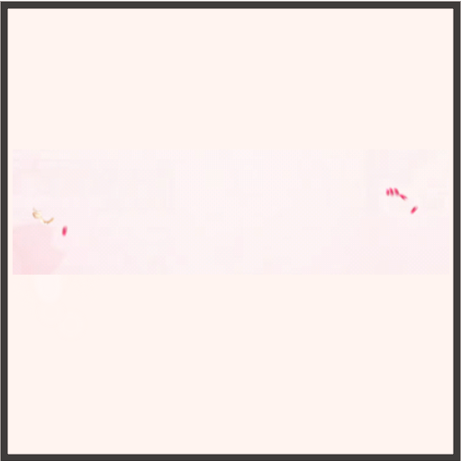 ブルズバレット