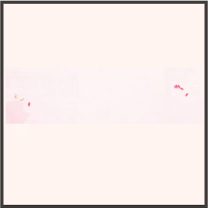 ブルズバレット