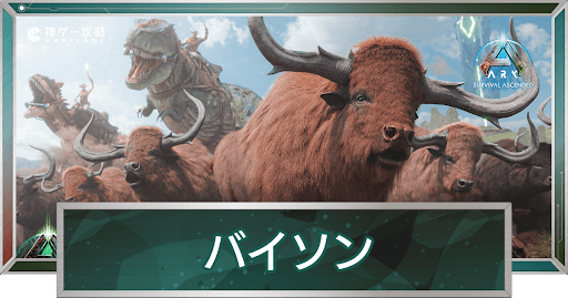 バイソン