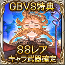 SSレアキャラ武器確定チケット