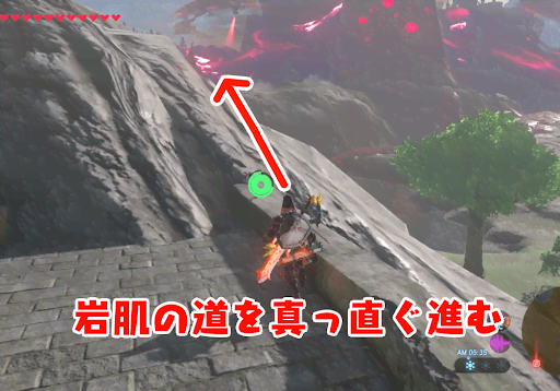 BotW_ハイラル城までの道