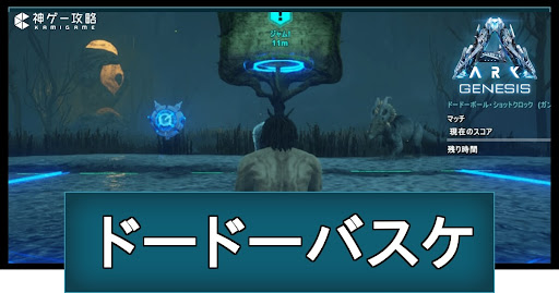 ドードーバスケ