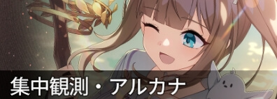 集中観測友達との散歩