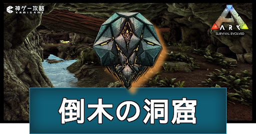 倒木の洞窟の場所と攻略ルート