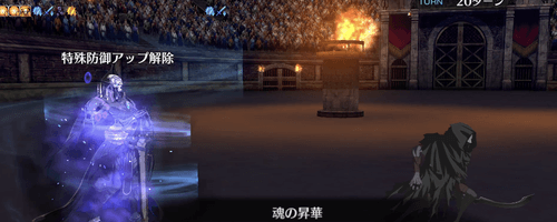 fgo-特殊耐性解除