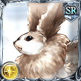 ホワイトラビット