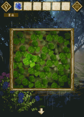 少女と雨の森_四つ葉