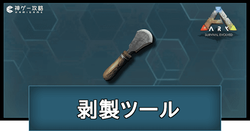 剥製ツールの作り方と使い道