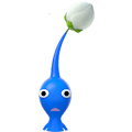 青ピクミン