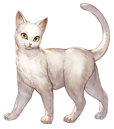 ミルキーショート