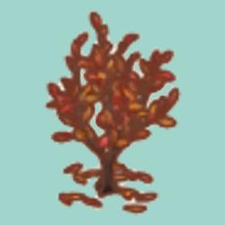 あきいろオリーブのきA