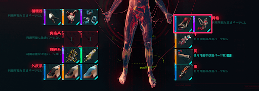 サイバーウェア_骨格