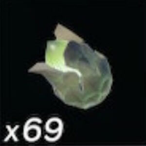 アカリバナの種