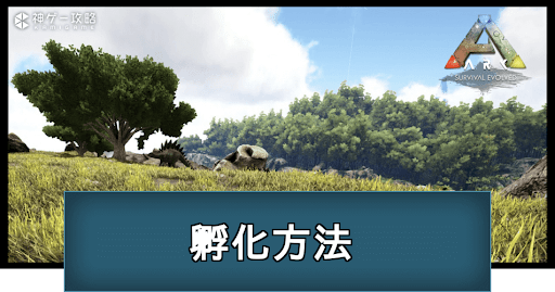 卵の入手と孵化の方法