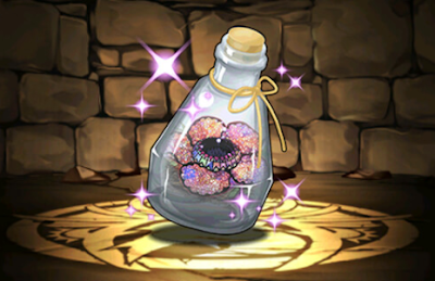 ラフレシアのハーバリウム