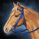 天下への道_桜野