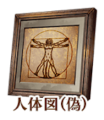 fgo-人体図