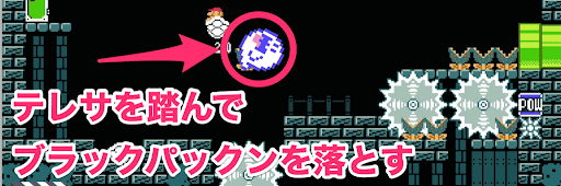 カロン甲羅_ブラックパックン1