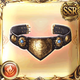 SSR格闘_チャンピオンベルト