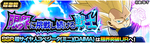 限界に挑戦し続ける戦士