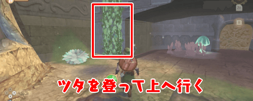 ゼルダSWS_ツタを登って箱を動かそう