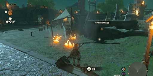 ポカポカの実を燃やす