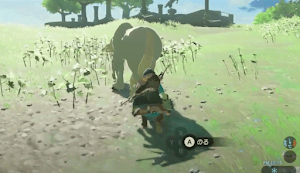 ゼルダBotW＿馬の捕まえ方