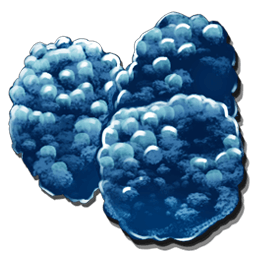 アズールベリー