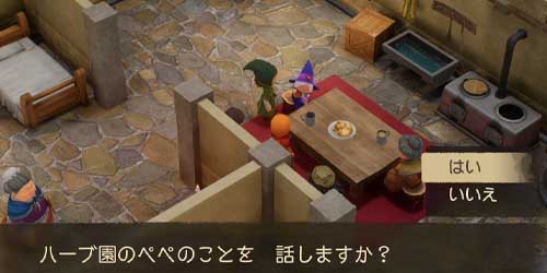 DQ7リイマジンド_村長の家のパミラ