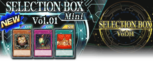 セレクションボックスミニ1