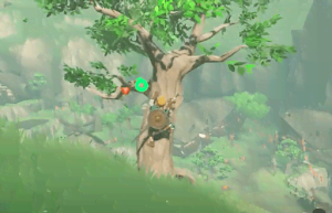 ゼルダBotW＿木登り