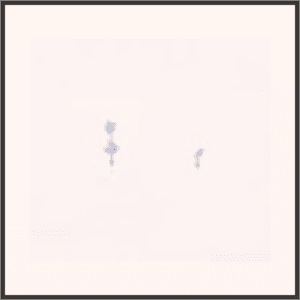 愛の言葉（夜）