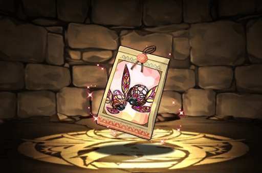 チューリップの球根