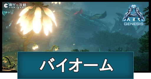 バイオーム解説