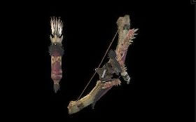 蛮顎弓フラムアルクス改