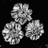 イングリッシュメース