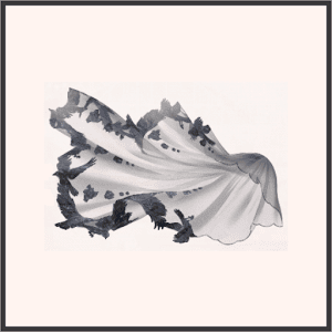 薔薇の夢＜ヴェール＞