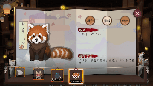 レッサーパンダ