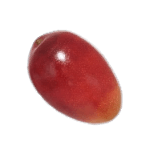 ハナシズクノミ