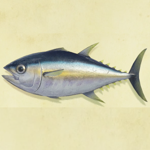 マグロの値段と捕まえるコツ