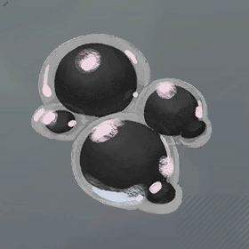 ぷにぷに玉・黒